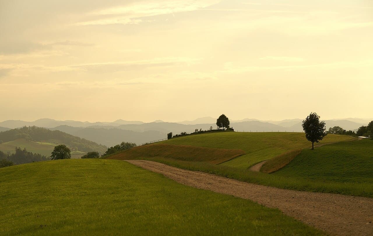 Vue de Bichwil, canton de Saint-Gall